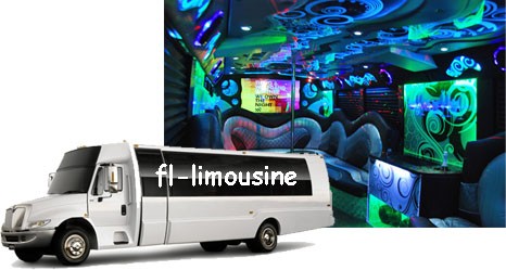 Cheap party bus service